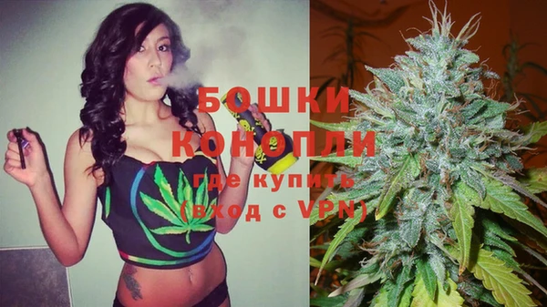 дурь Лиски