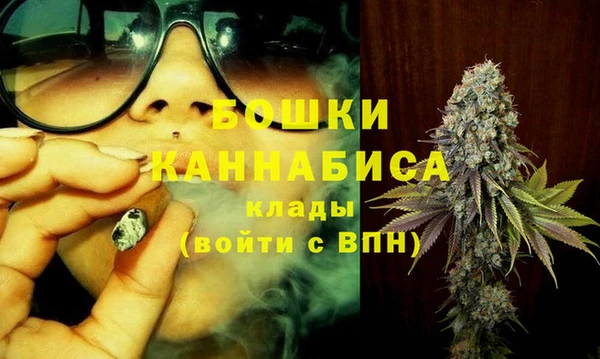 дживик Липки