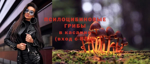дурь Лиски